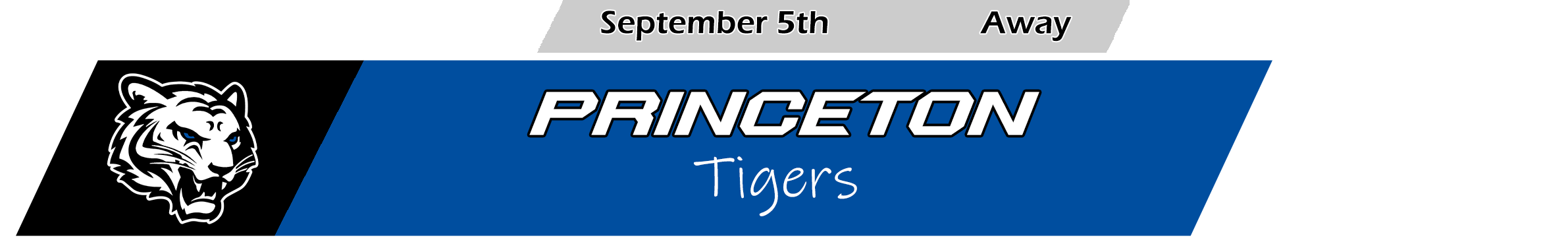 Princeton Tigers Banner