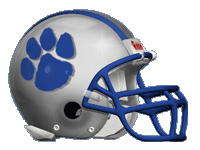 Princeton Tigers Helmet